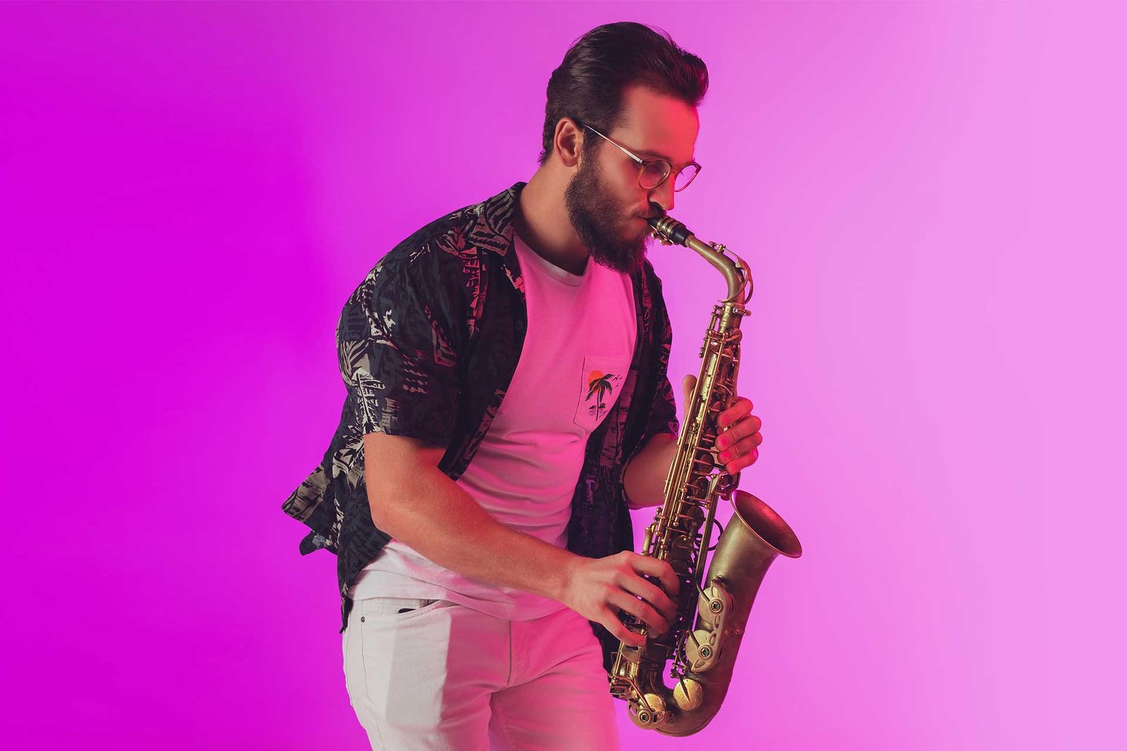 musicos profesionales